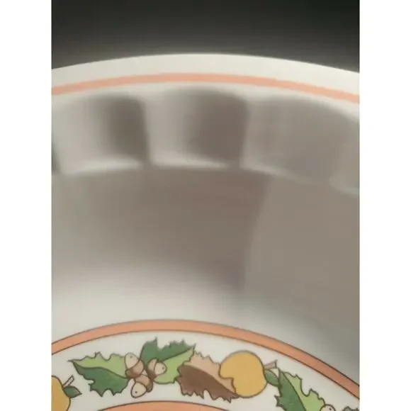 Vintage Watkins 80s Country Kids Collectors Recipe Pie Plate Pumpkin RIDE - Picture 4 of 4